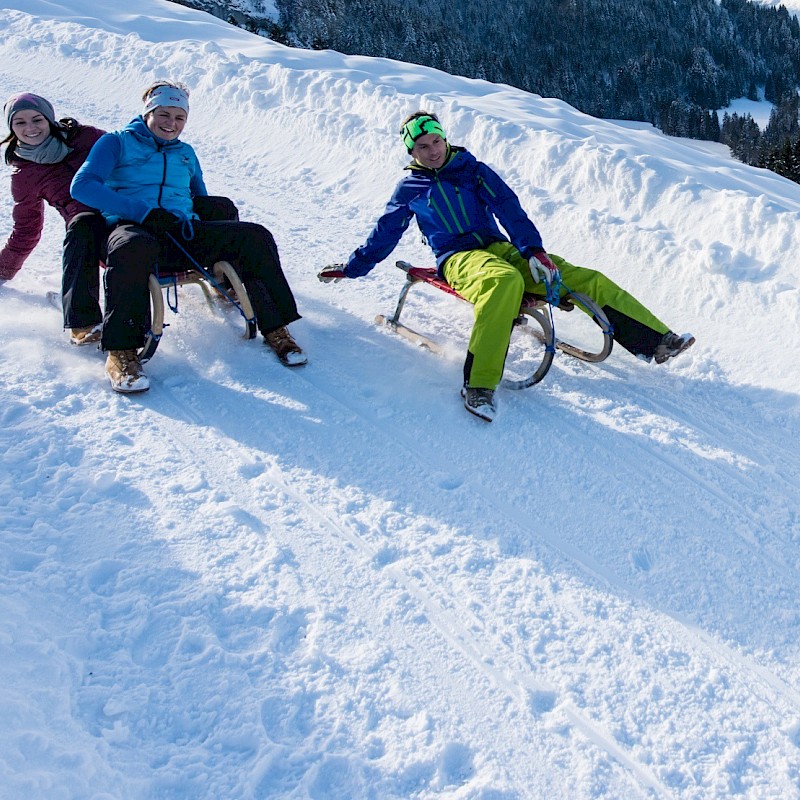 Rodeln am Gaisberg